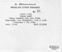 Image Associated With the Occurence